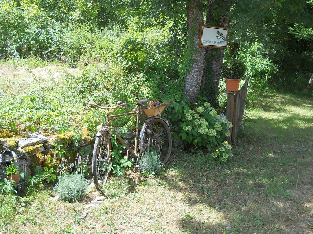 Le Domaine De La Genette Villa Paussac-et-Saint-Vivien Kültér fotó